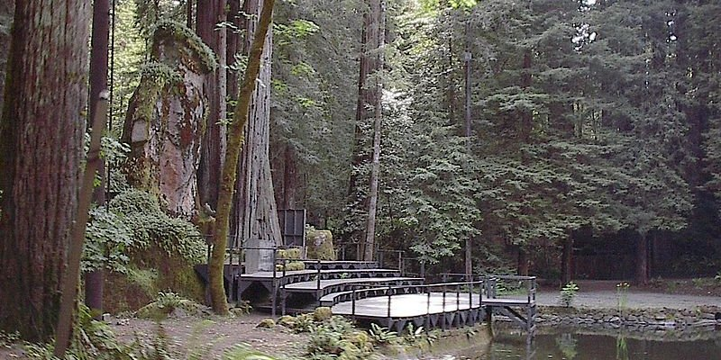 Illustration for article titled Hay un club secreto en un bosque de California donde cada año se reúnen algunos de los hombres más poderosos del planeta